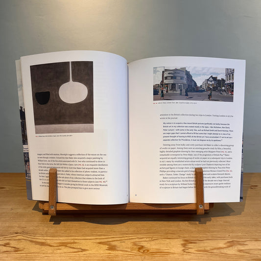 Made in the UK: Contemporary Art from the Richard Brown Baker Collection