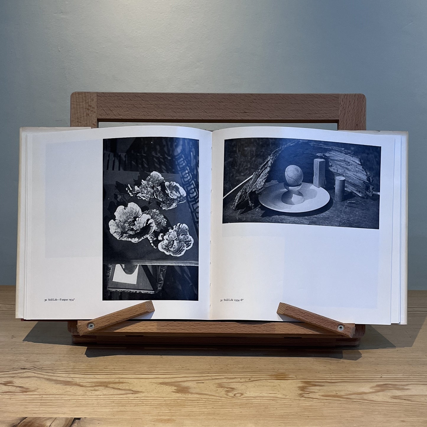 Paul Nash's Photographs: Document and Image