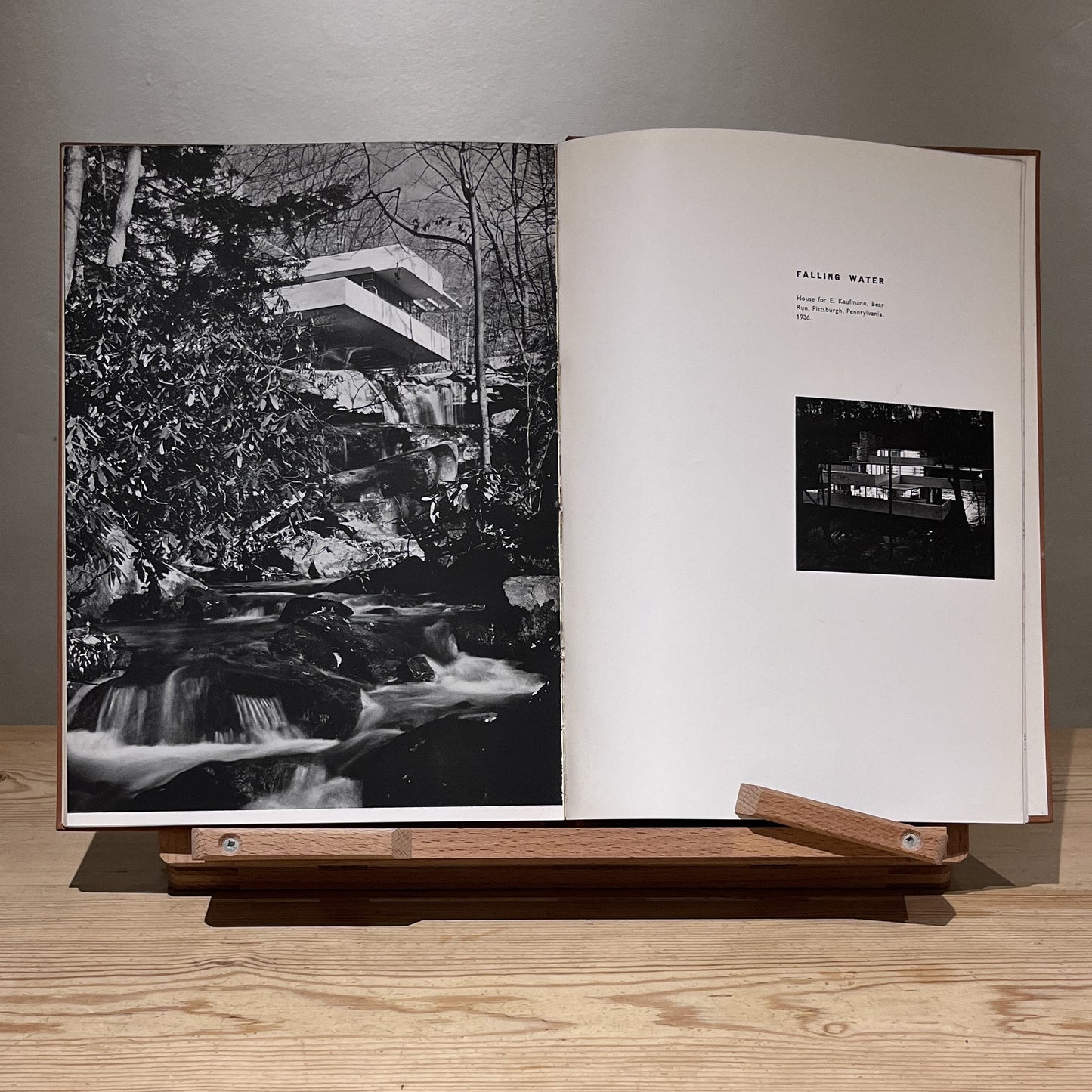 An Organic Architecture: The Architecture of Democracy