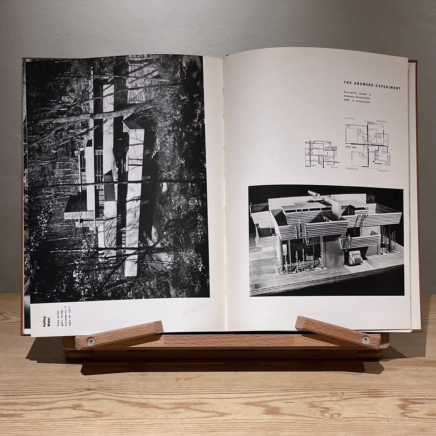 An Organic Architecture: The Architecture of Democracy