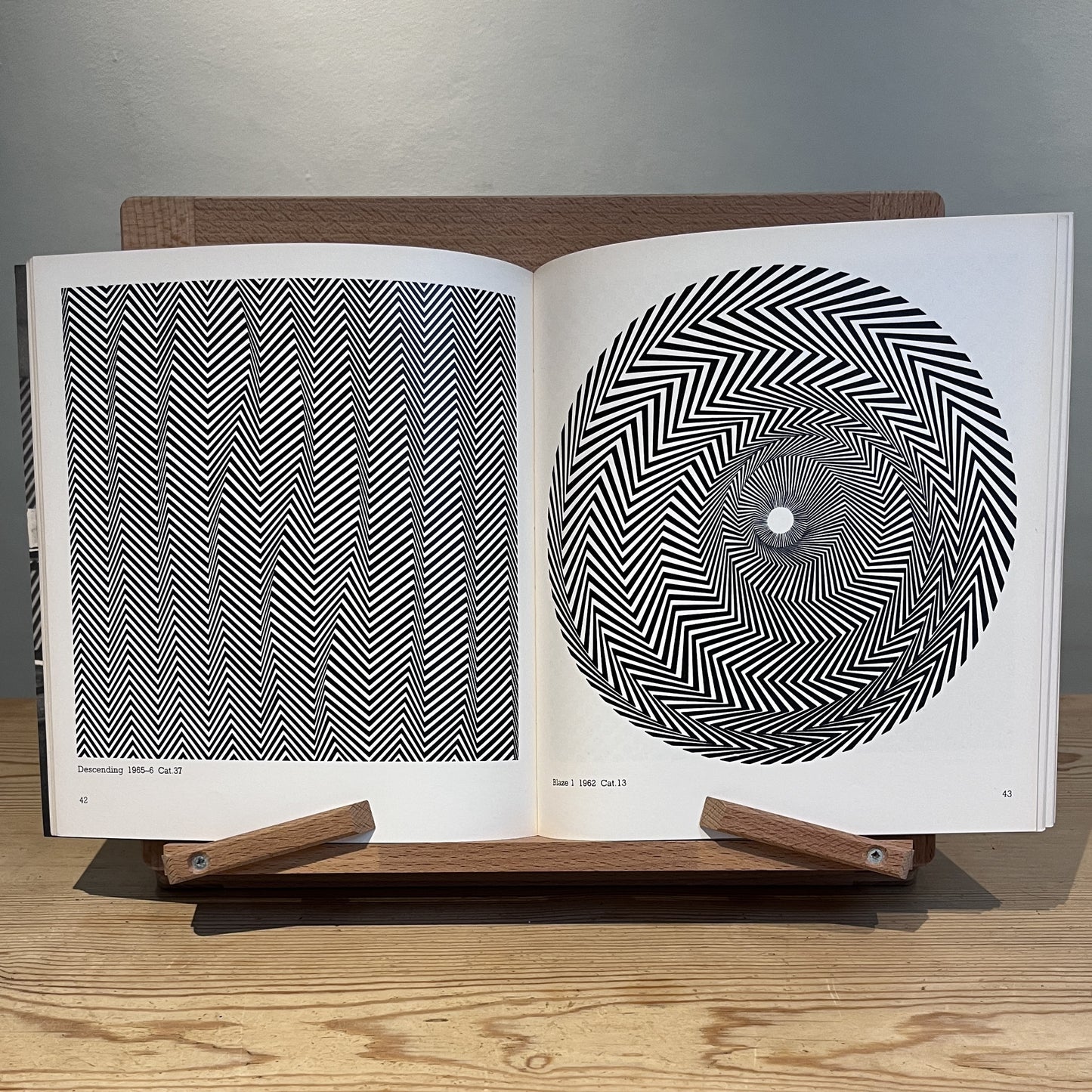 Bridget Riley: Paintings and Drawings 1951 -71