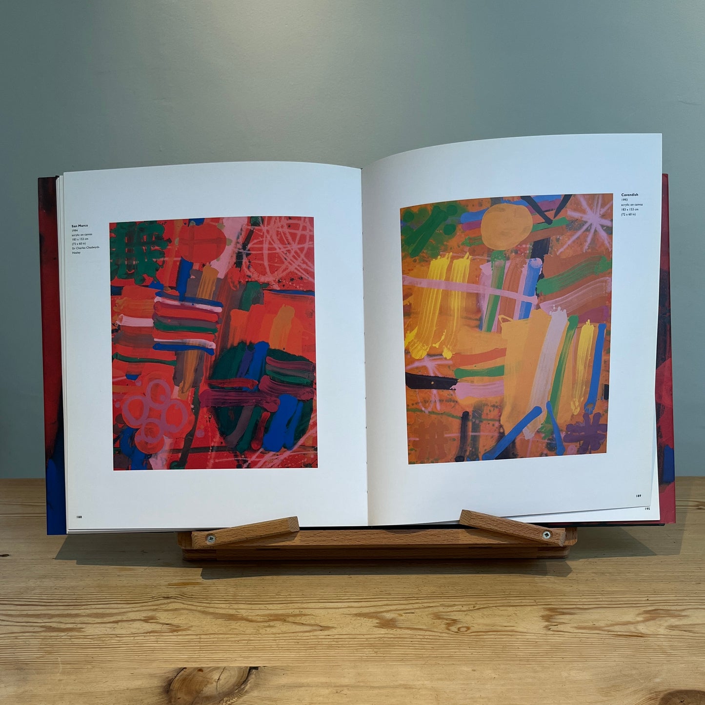 Albert Irvin: Life to Painting