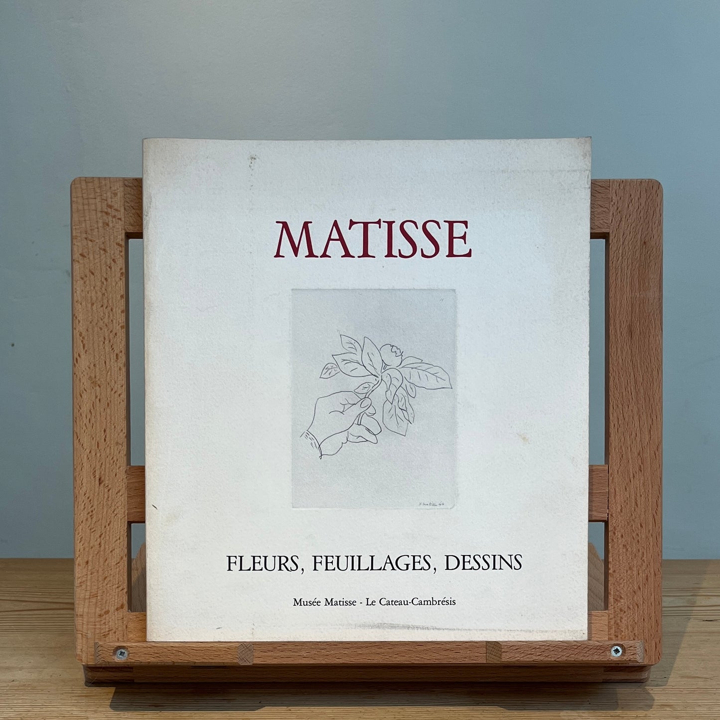 Matisse: Fleurs, Feuillages, Dessins
