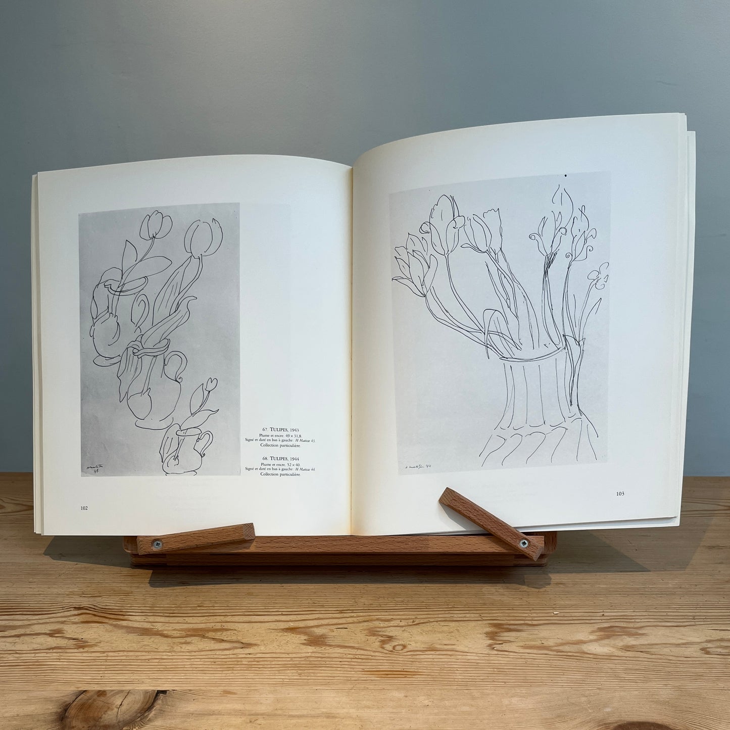Matisse: Fleurs, Feuillages, Dessins