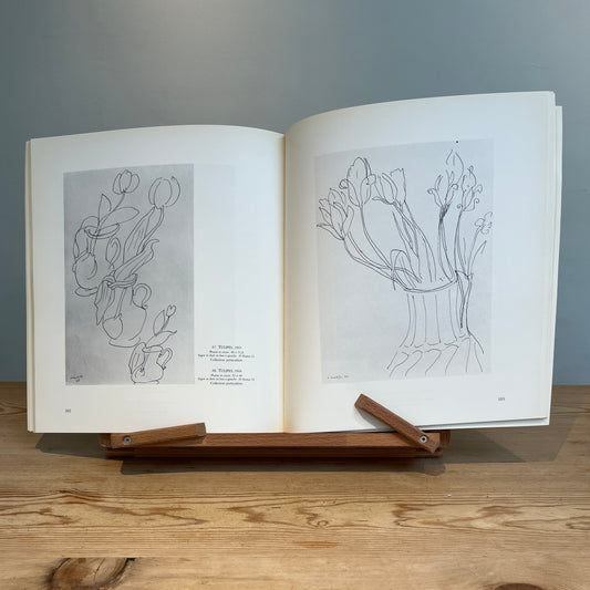 Matisse: Fleurs, Feuillages, Dessins