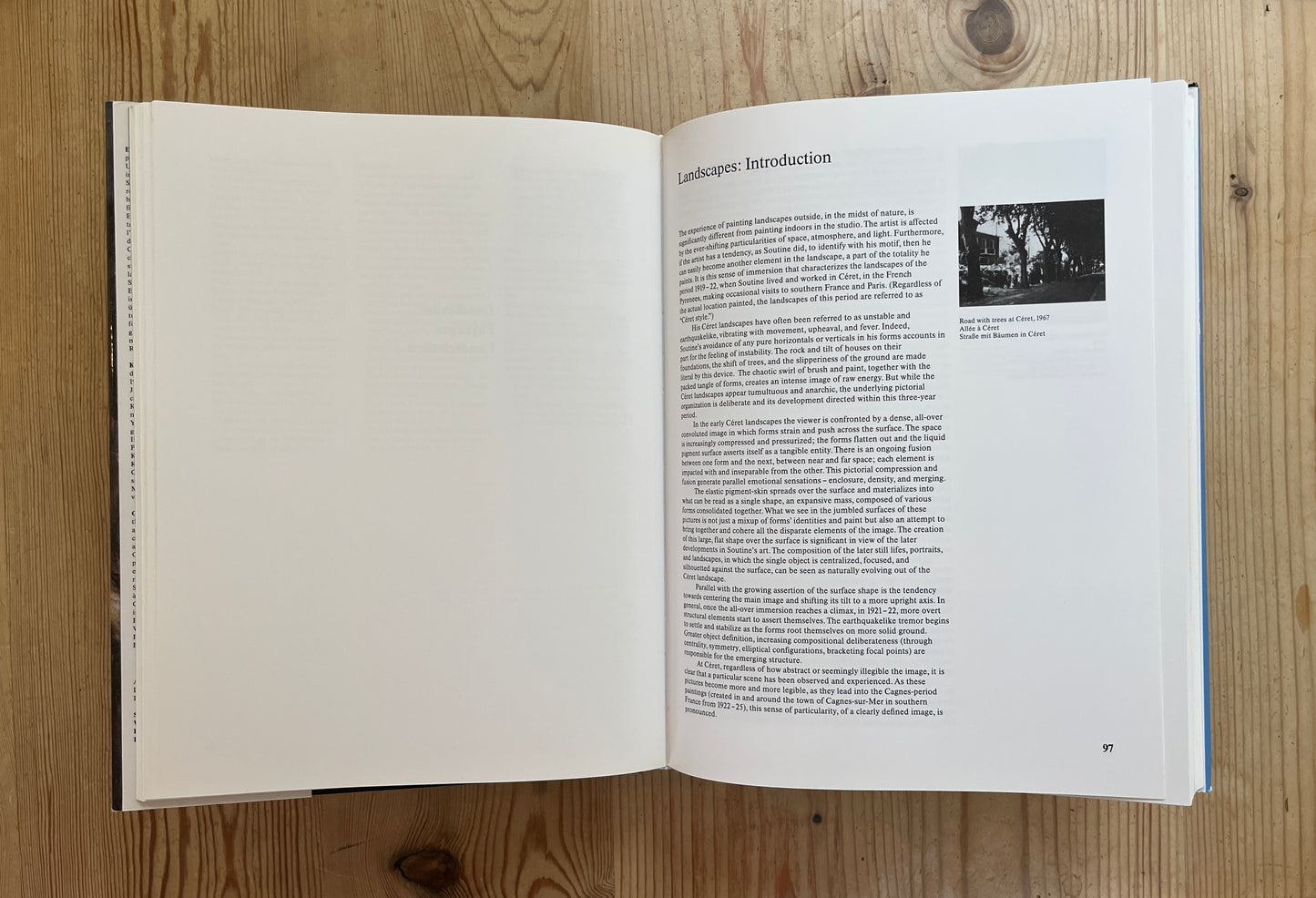 Chaim Soutine: Catalogue Raisonne
