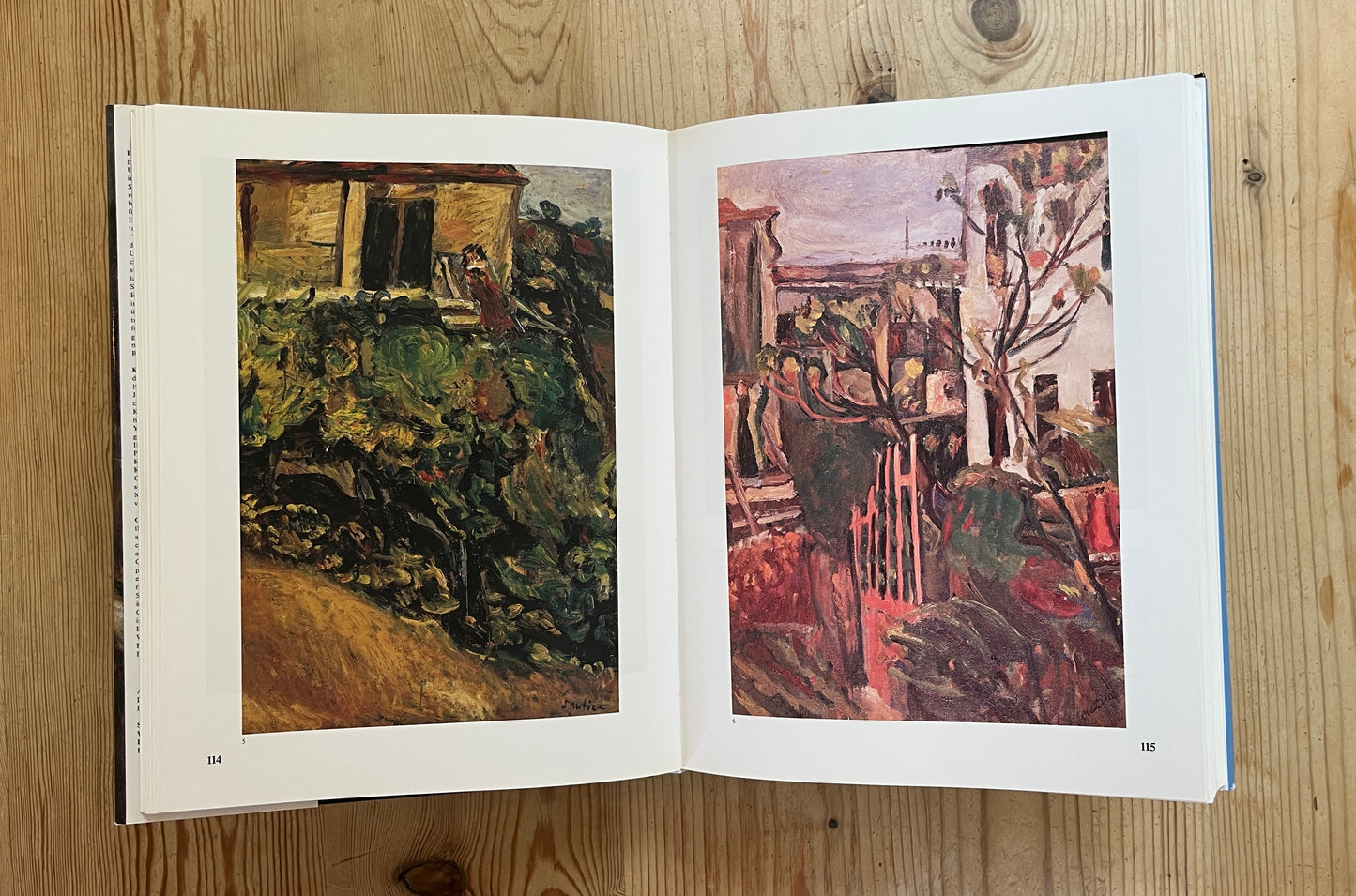 Chaim Soutine: Catalogue Raisonne