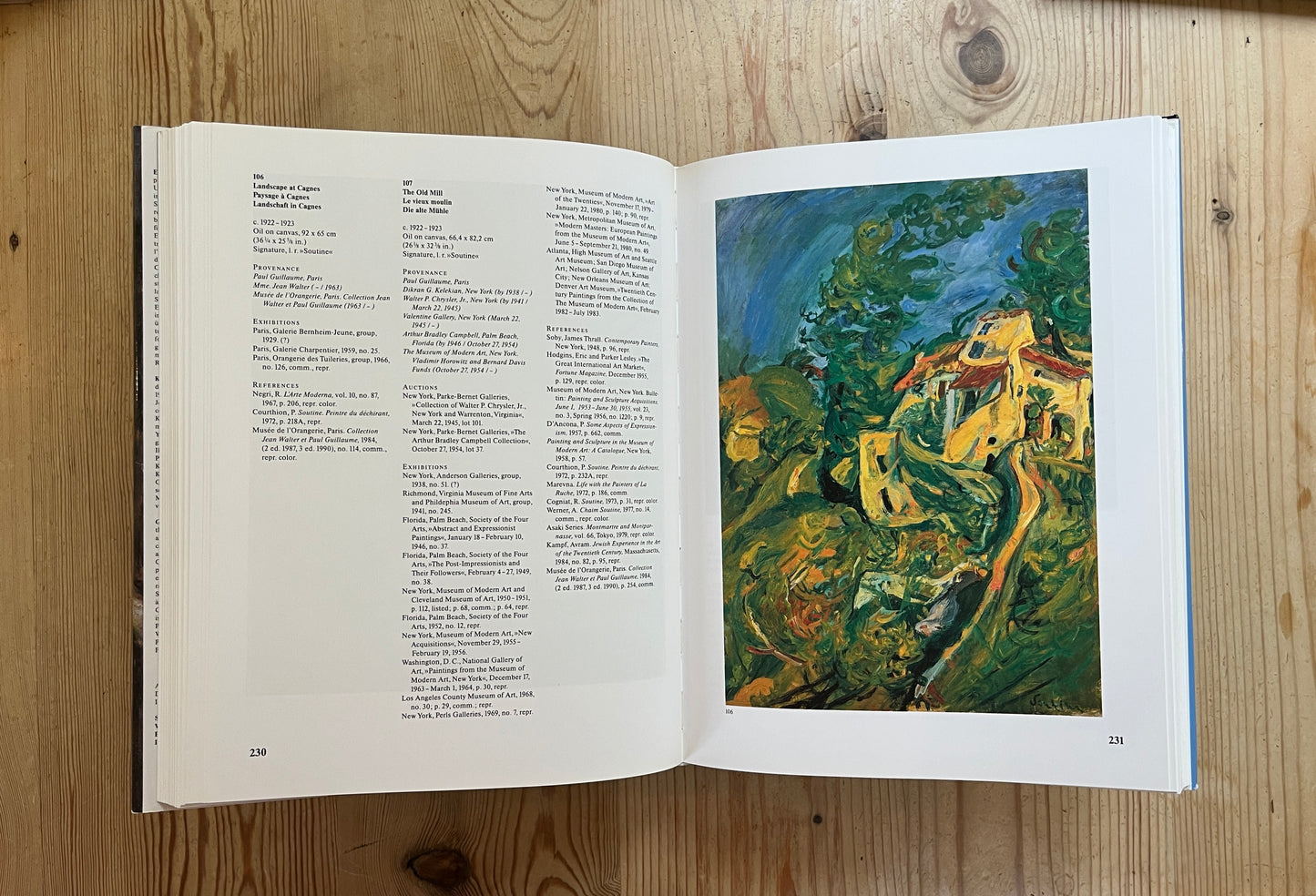 Chaim Soutine: Catalogue Raisonne