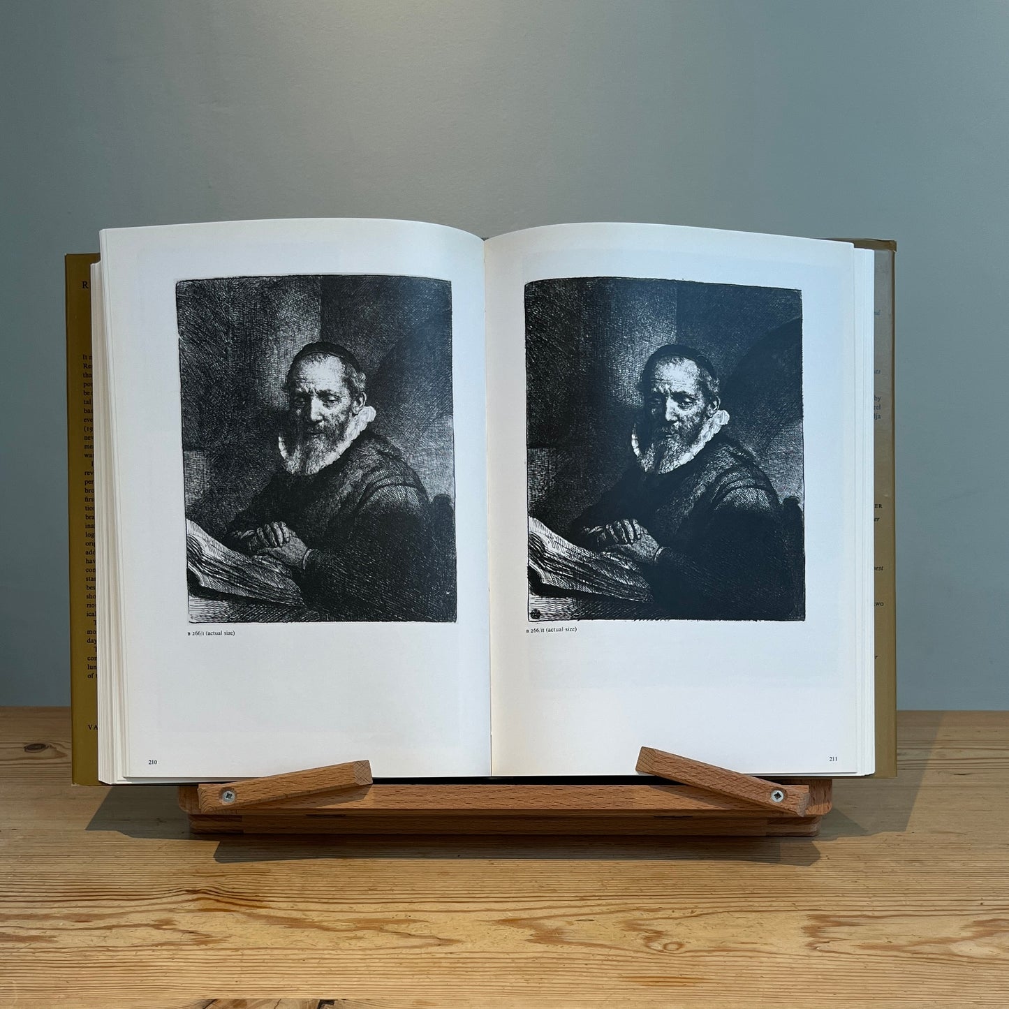 Rembrandt's Etchings