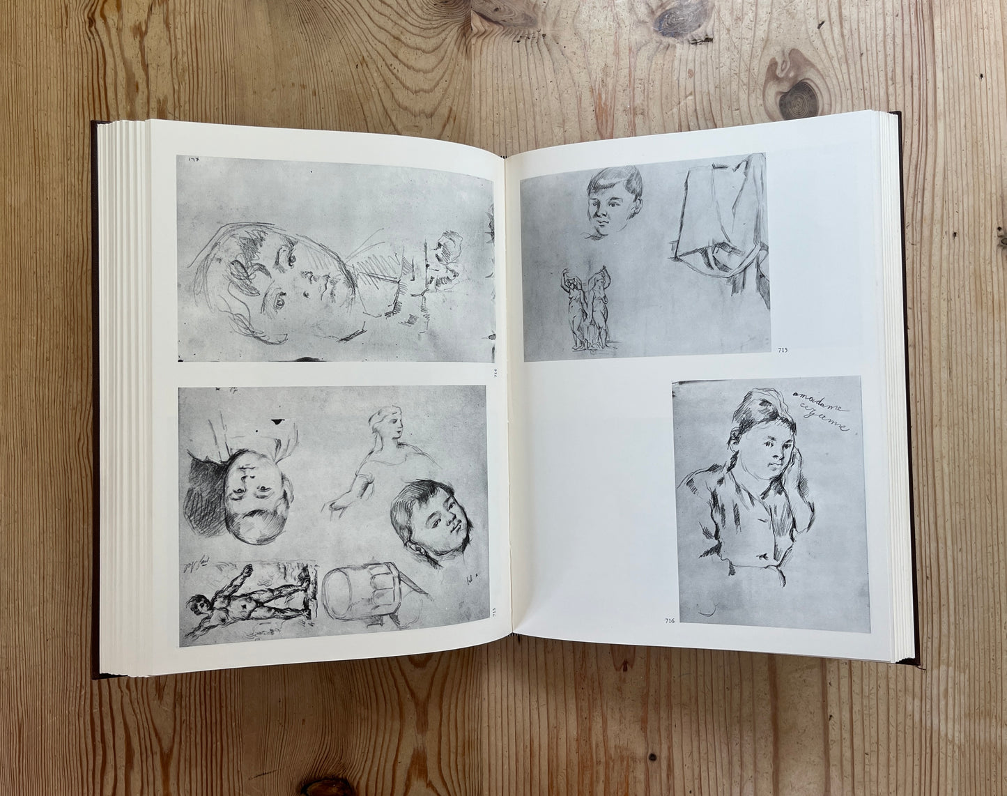 The Drawings of Paul Cezanne: A Catalogue Raisonne
