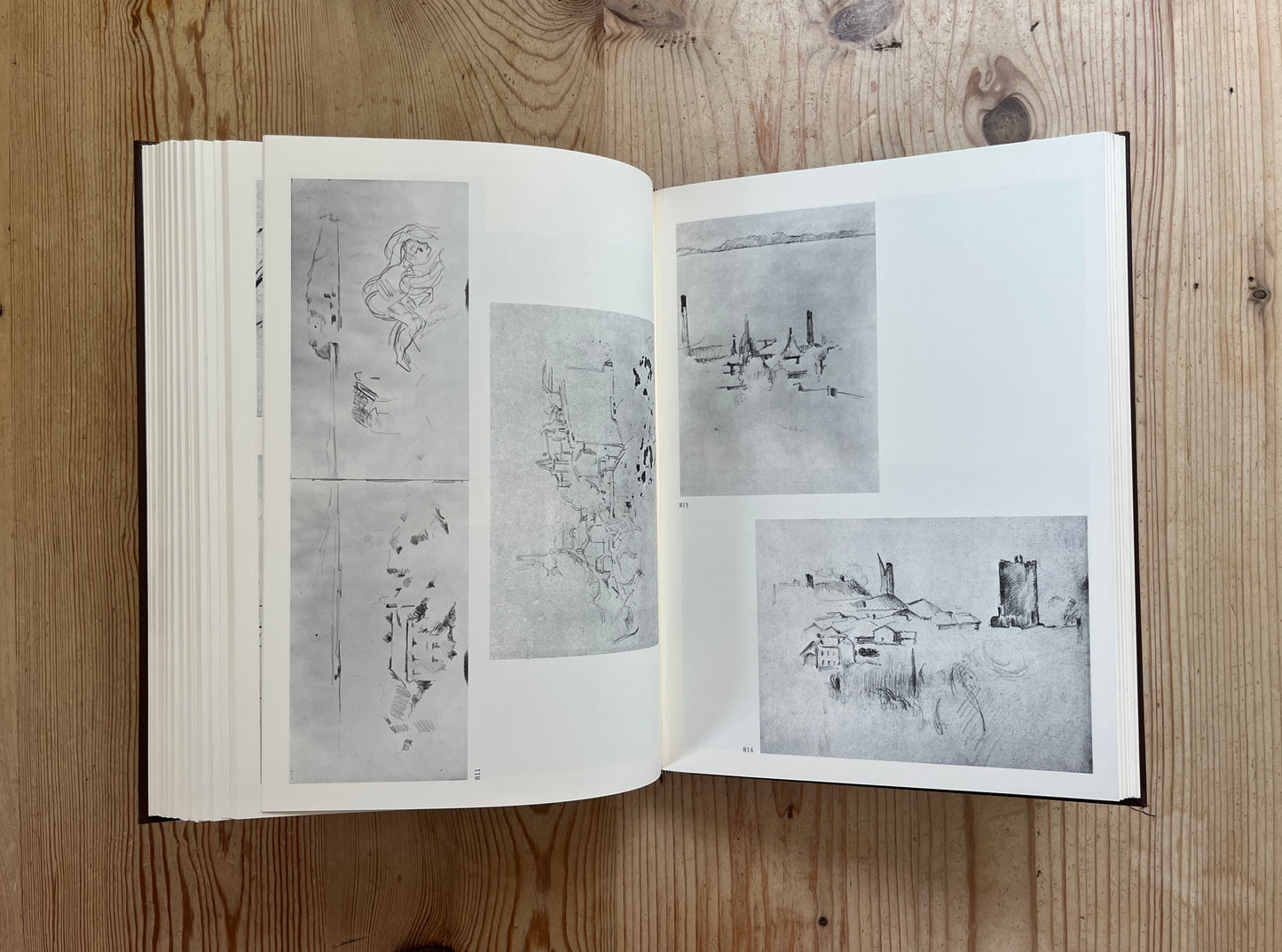 The Drawings of Paul Cezanne: A Catalogue Raisonne