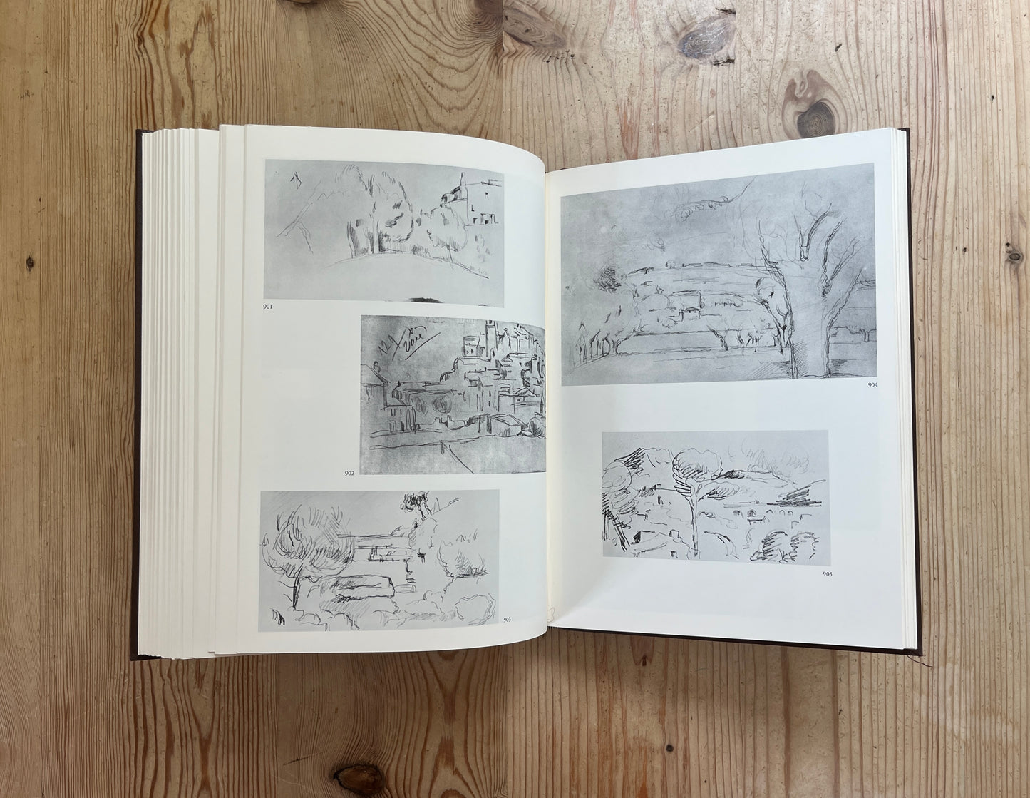 The Drawings of Paul Cezanne: A Catalogue Raisonne